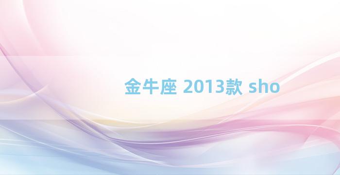 金牛座 2013款 sho